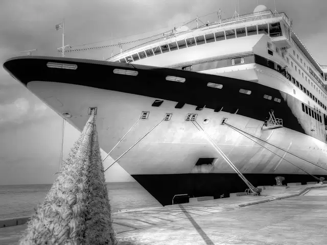 Limousine transfer from Civitavecchia cruise terminal to Rome or Fiumicino Airport